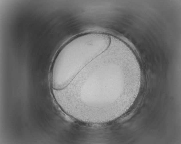 X0000073930807200608251614