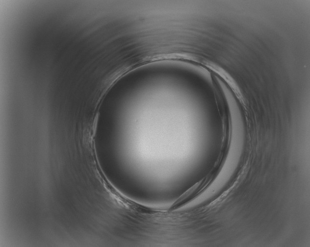 X0000073930809200608251614