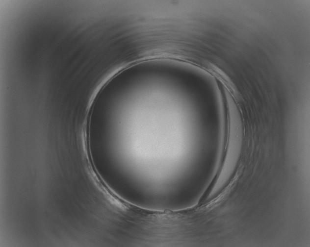 X0000073930812200608251614