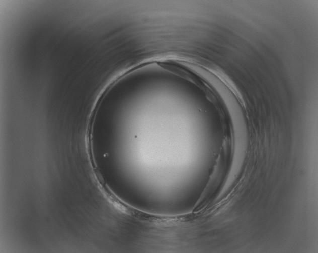 X0000073930813200608251614