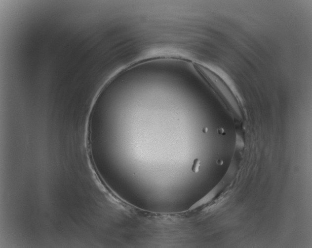 X0000073930815200608251614