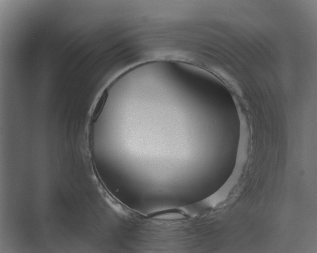 X0000073930816200608251614