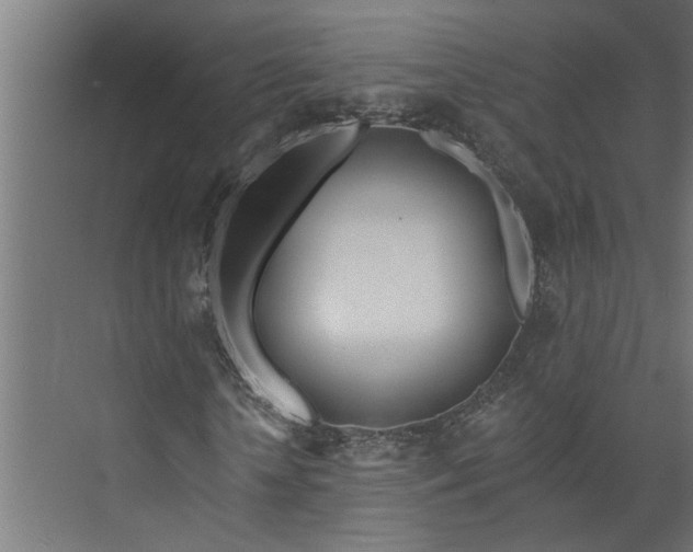 X0000073930818200608251613