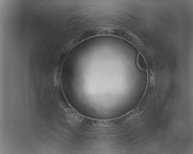 X0000073930819200608251613