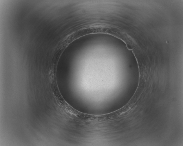 X0000073930821200608251613