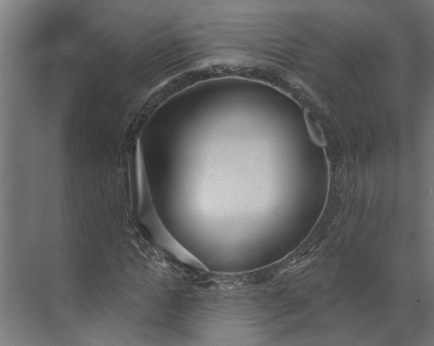 X0000073930822200608251613