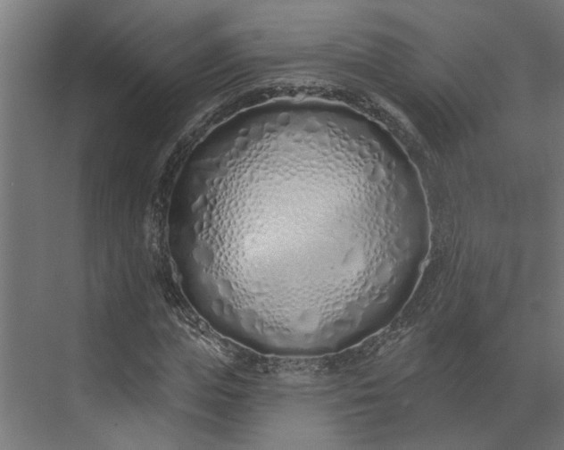 X0000073930823200608251613