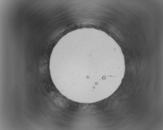 X0000073930824200608251613