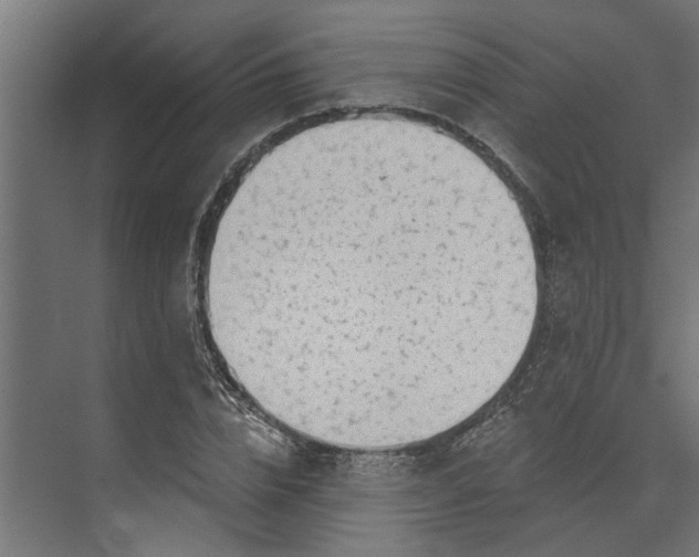 X0000073930832200608251613