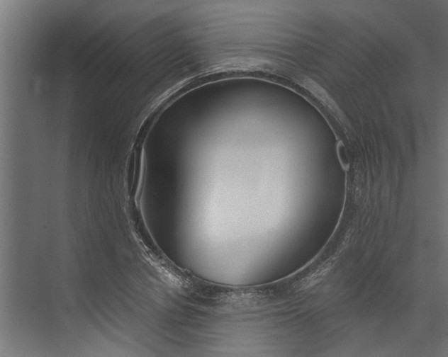 X0000073930834200608251613