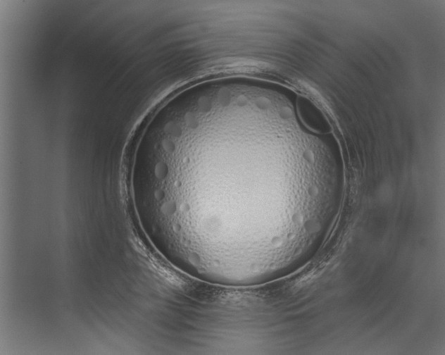 X0000073930835200608251613