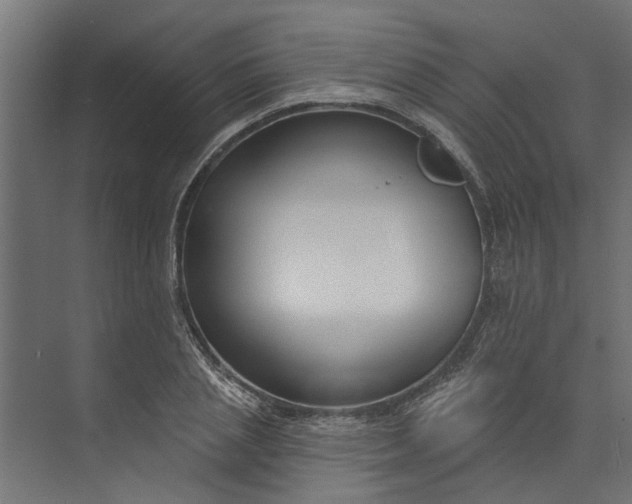 X0000073930837200608251613