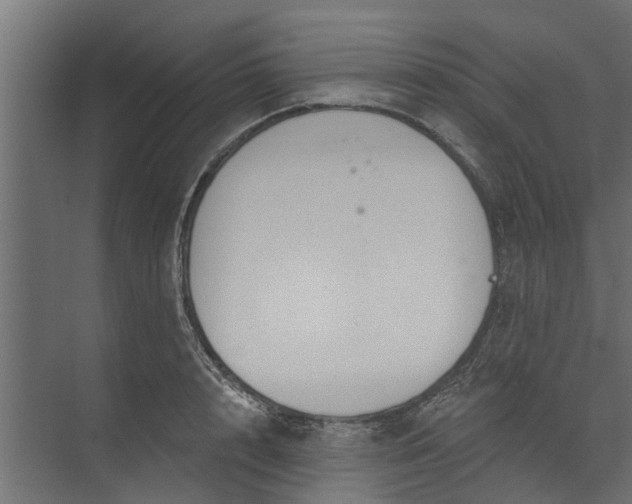 X0000073930848200608251613