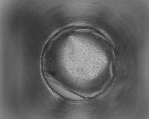 X0000073930853200608251613