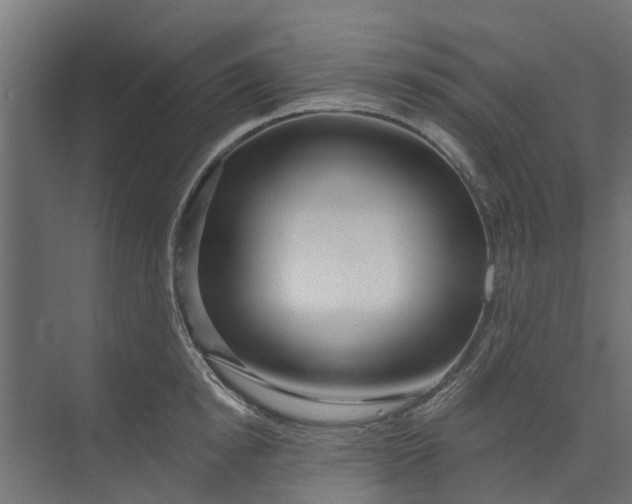 X0000073930854200608251613