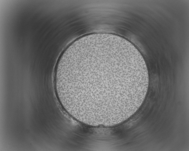 X0000073930856200608251613