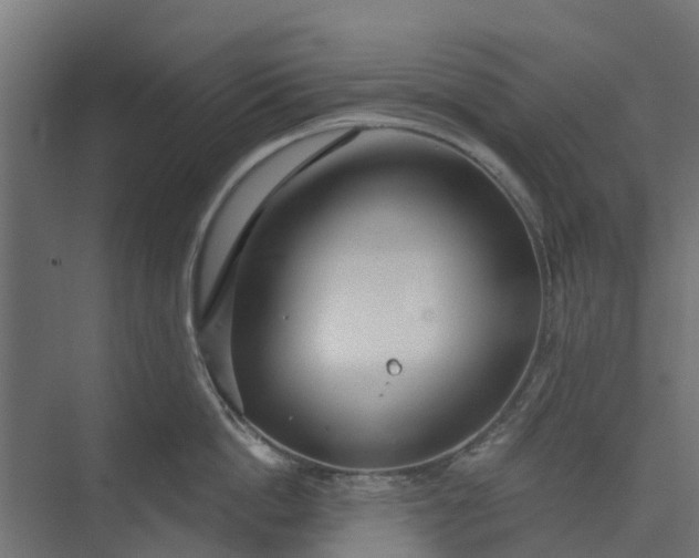 X0000073930862200608251614