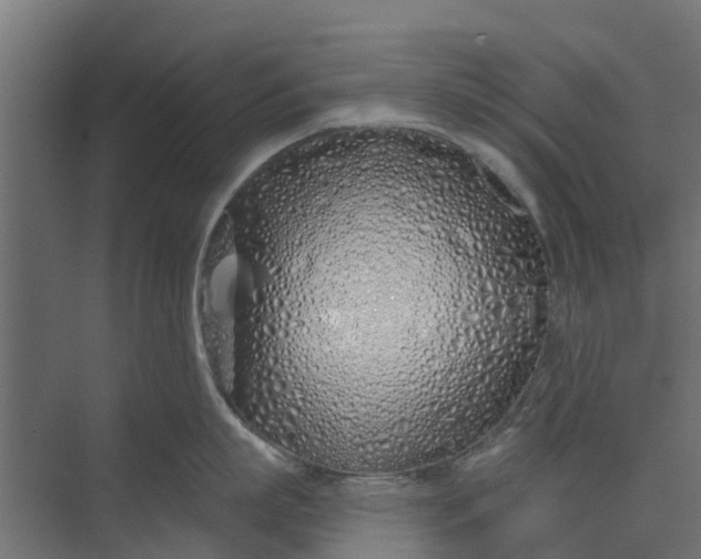 X0000073930863200608251614