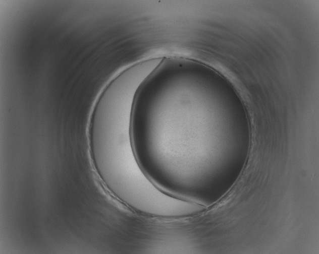 X0000073930864200608251614