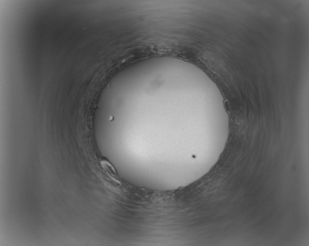 X0000073930865200608251613