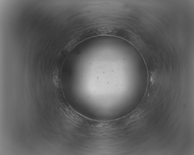 X0000073930867200608251613