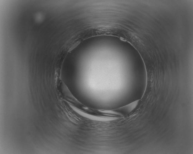 X0000073930868200608251613