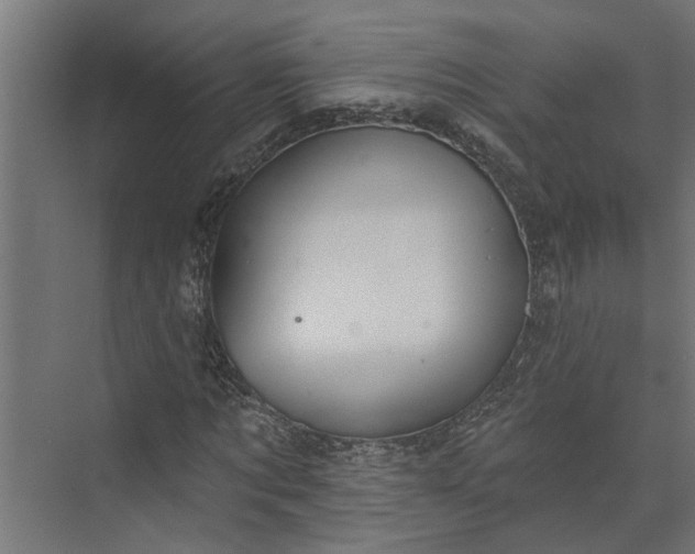 X0000073930869200608251613