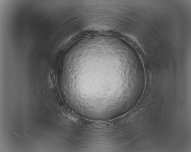 X0000073930871200608251613