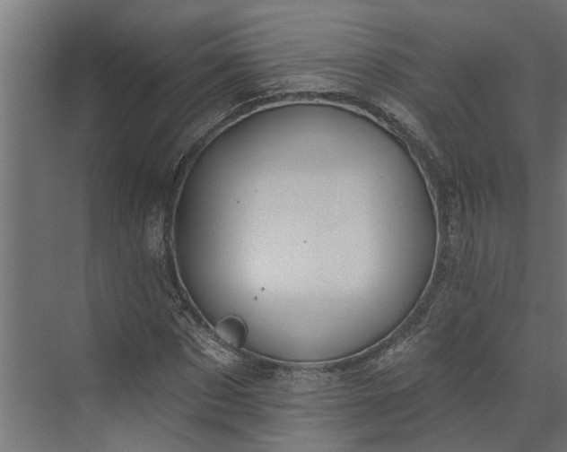 X0000073930873200608251613