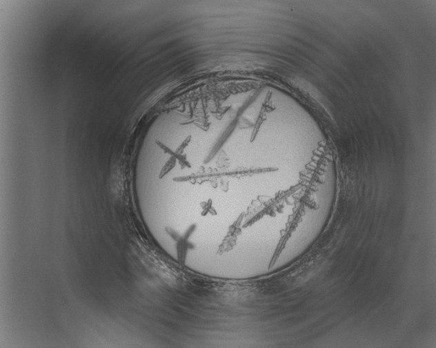 X0000073930874200608251613