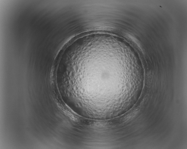 X0000073930875200608251613