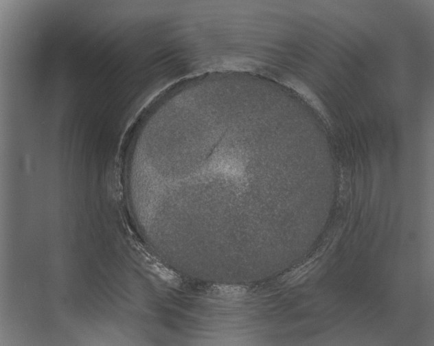 X0000073930878200608251613