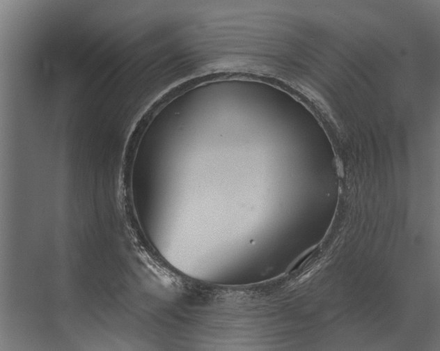 X0000073930880200608251613