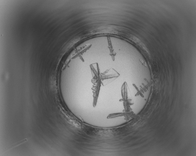 X0000073930882200608251612