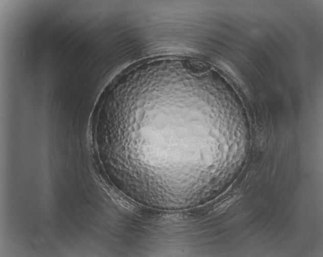 X0000073930883200608251612