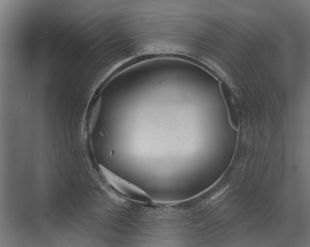 X0000073930885200608251612