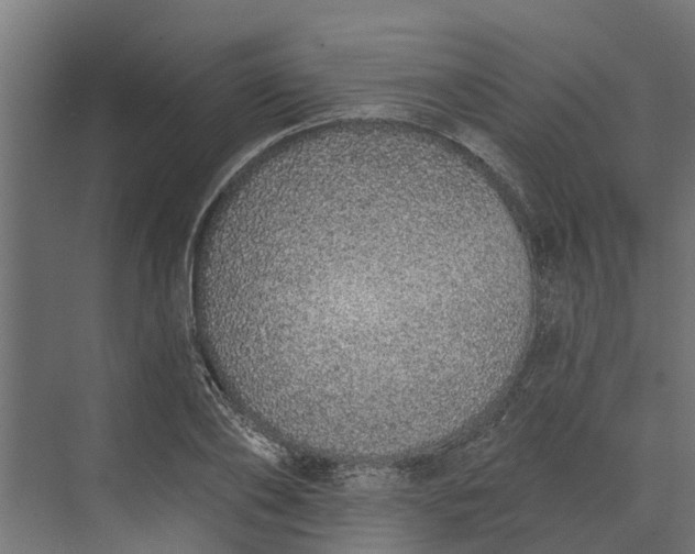 X0000073930886200608251612