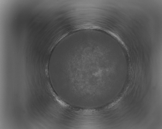 X0000073930889200608251612