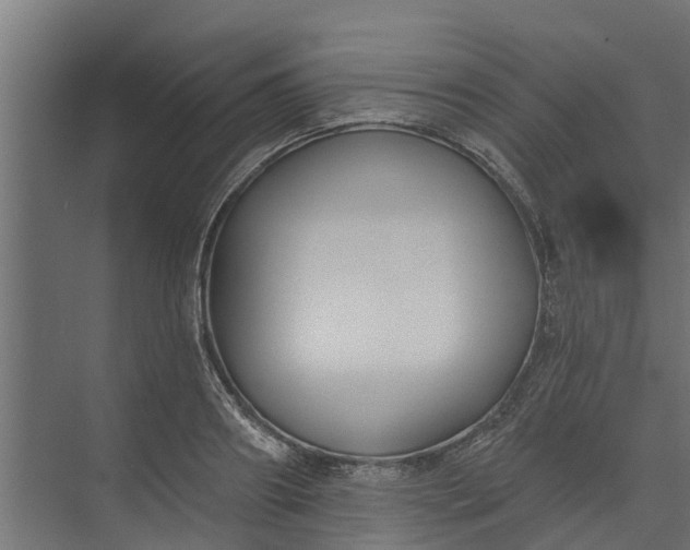 X0000073930890200608251612