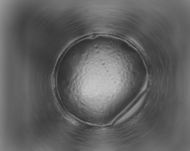 X0000073930891200608251612