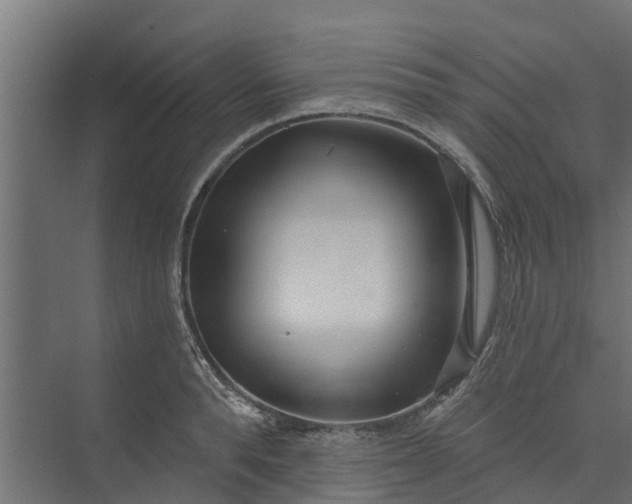 X0000073930896200608251612