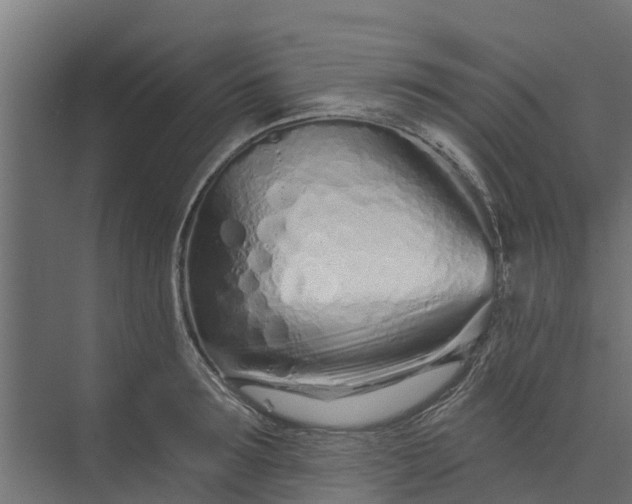 X0000073930899200608251612