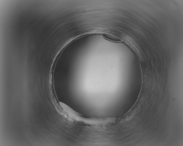 X0000073930900200608251612