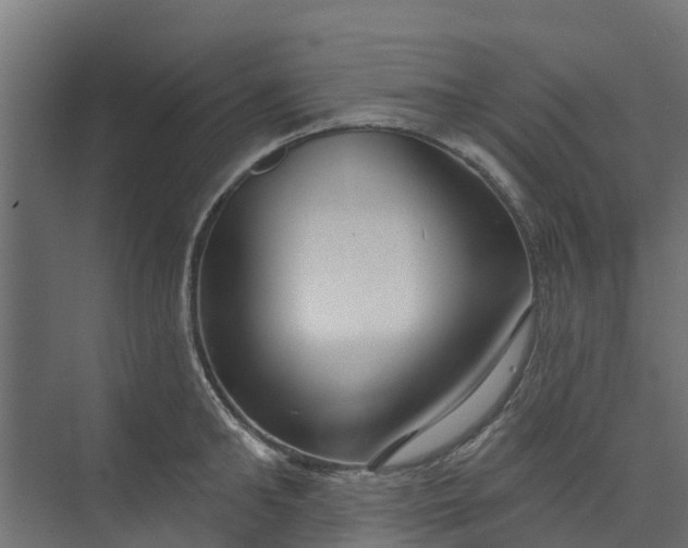 X0000073930902200608251612