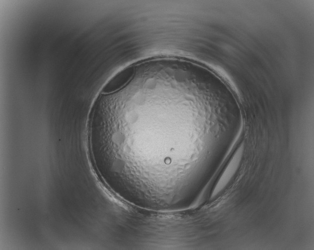 X0000073930903200608251612