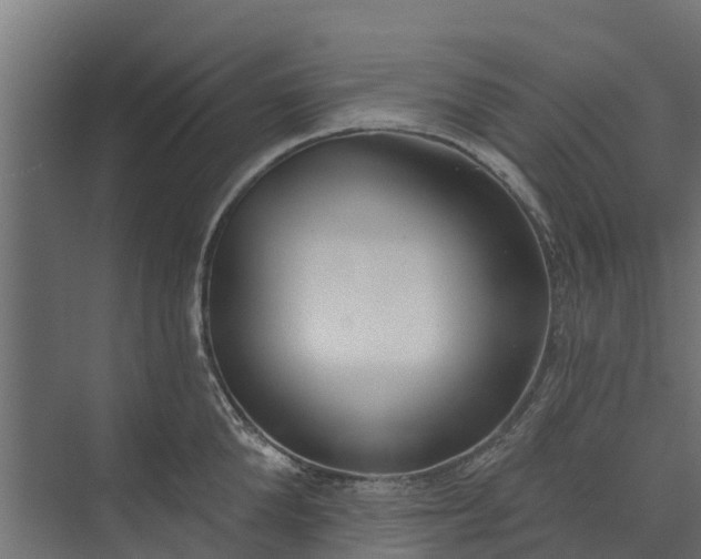 X0000073930904200608251612