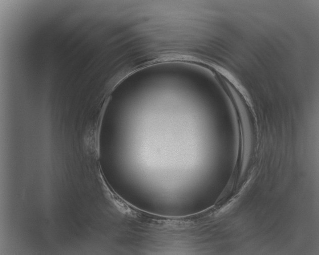 X0000073930905200608251612