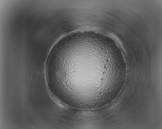 X0000073930907200608251612