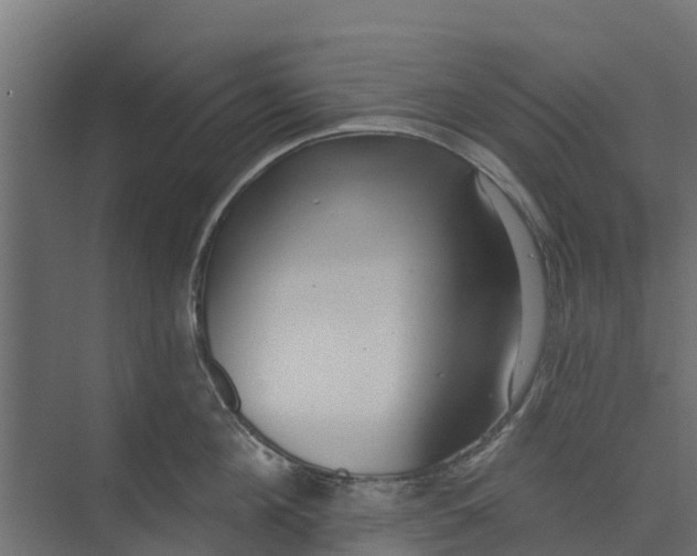 X0000073930908200608251612