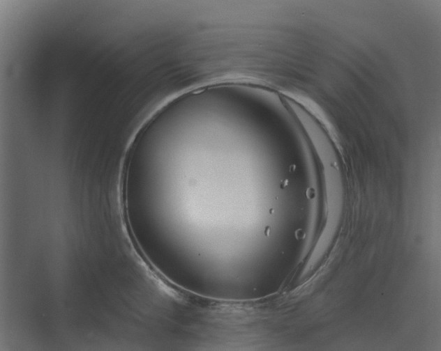 X0000073930910200608251612